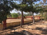 Resale - Finca / Country Property - Los Montesinos