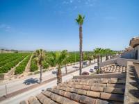 Resale - bungalow - Algorfa