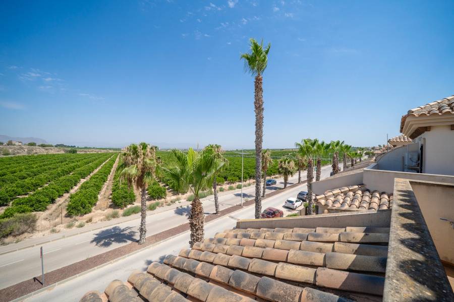 Resale - bungalow - Algorfa