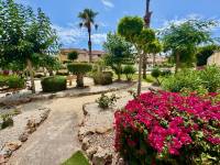 Reventa - Villa - Algorfa - Lo Crispin
