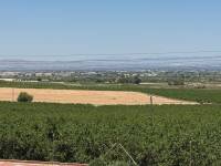 Reventa - Villa - Algorfa - Lomas De La Juliana