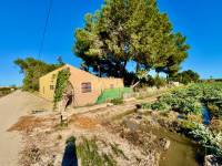 Reventa - Finca / Country Property - Guardamar del Segura