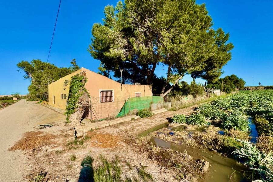 Reventa - Finca / Country Property - Guardamar del Segura