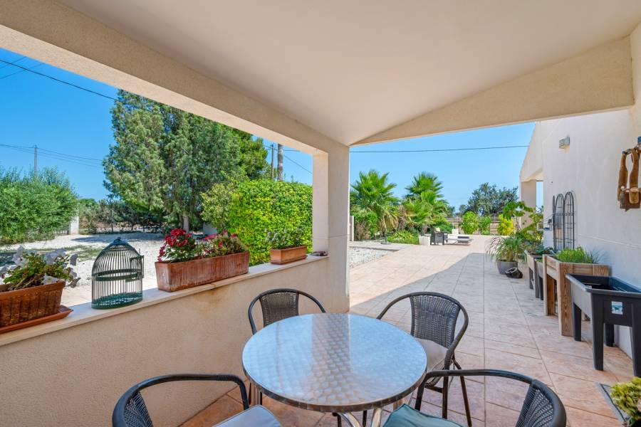 Reventa - Country estate - Elche/Elx