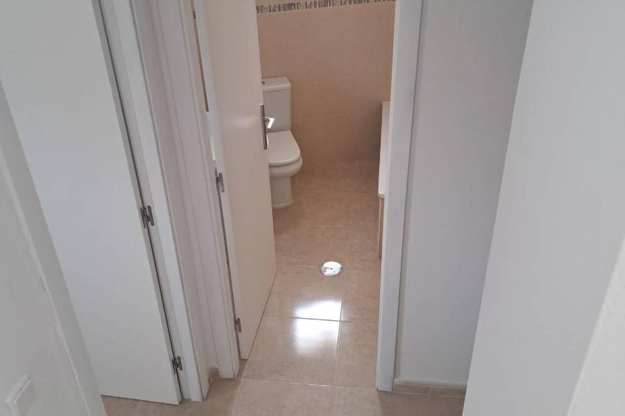 Obra Nueva - Villa - Bigastro