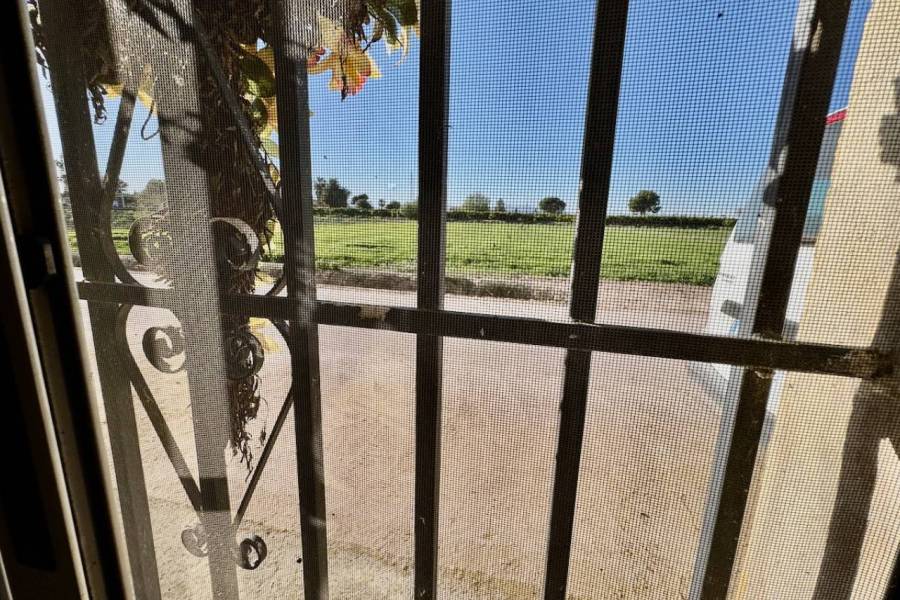 Reventa - Finca / Country Property - Guardamar del Segura
