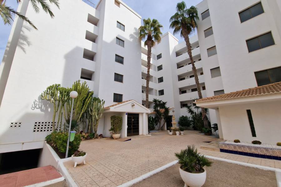 Resale - Apartment - Guardamar Del Segura - Mercadona Guardamar