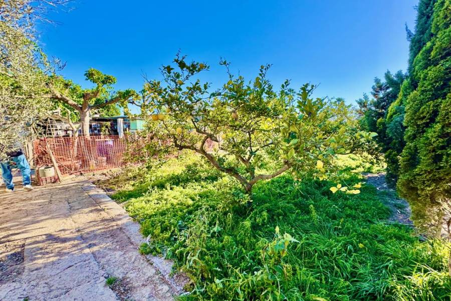 Reventa - Finca / Country Property - Guardamar del Segura
