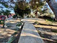 Reventa - Finca / Country Property - Guardamar del Segura