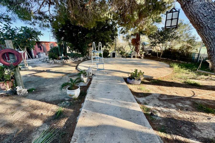 Reventa - Finca / Country Property - Guardamar del Segura